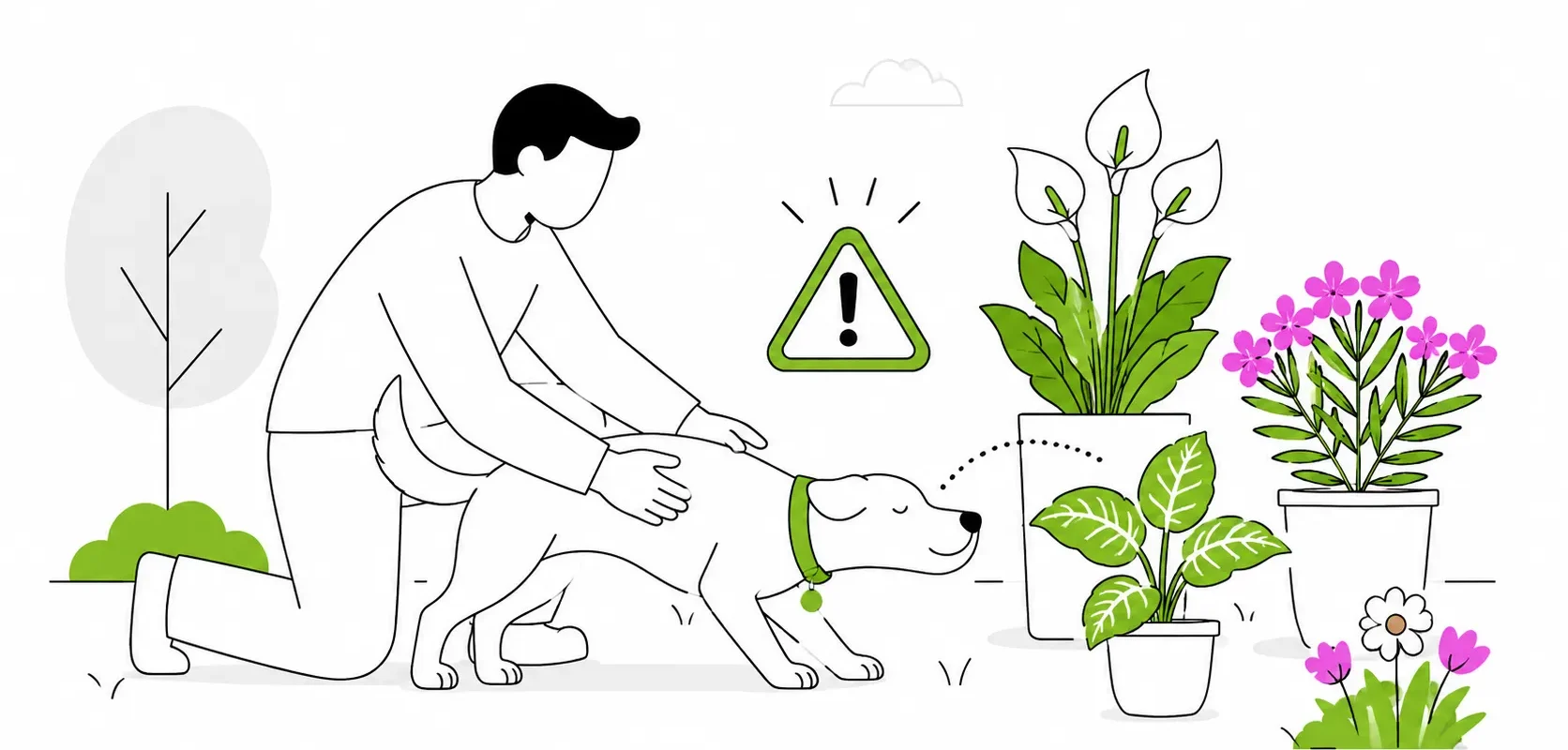 Quelles plantes sont toxiques pour les chiens ?
